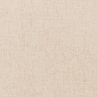 Kravet 36305 101