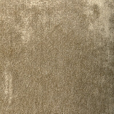 Kravet PLUSH NOVA GOLD