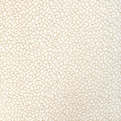 Kravet 36421 161