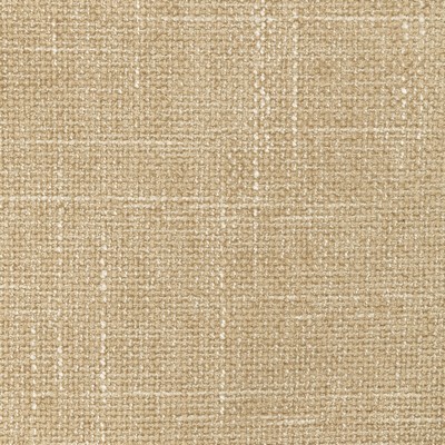 Kravet 36579 1116