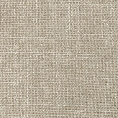 Kravet 36579 1601