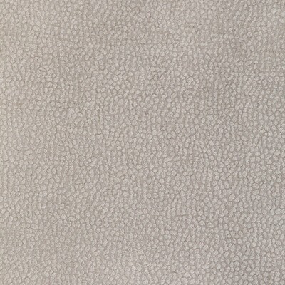 Kravet PEBBLE CHENILLE PUTTY