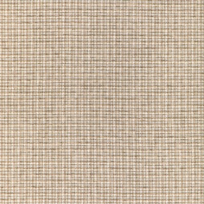 Kravet ARIA CHECK RATTAN