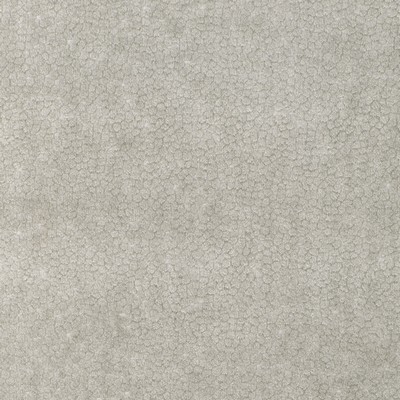 Kravet 37064 11