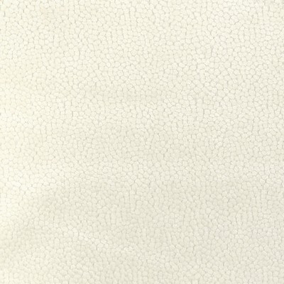 Kravet 37064 1