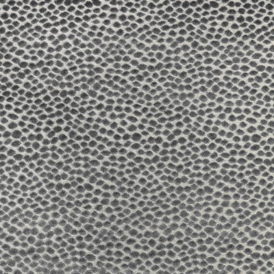 Kravet 37087 11