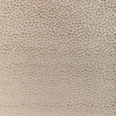 Kravet 37087 16