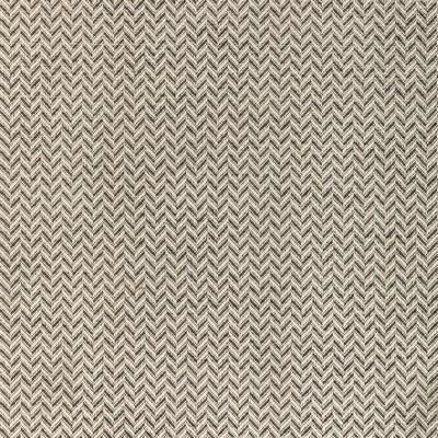 Kravet 37195 1101