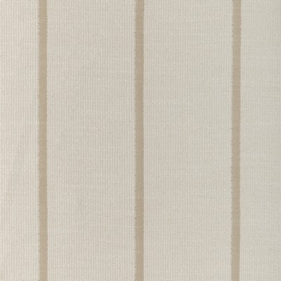 Kravet 37197 161