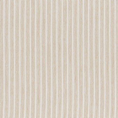 Kravet 37292 161