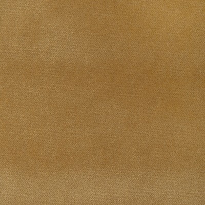 Kravet 37302 4