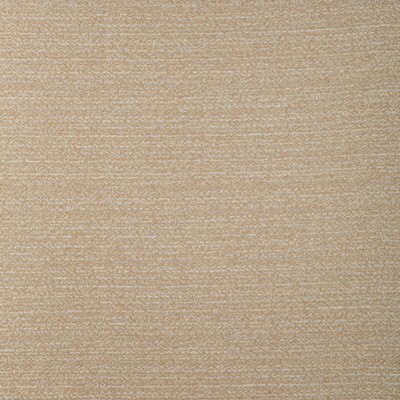 Kravet 37344 16