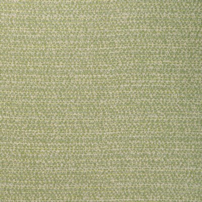 Kravet 37344 316