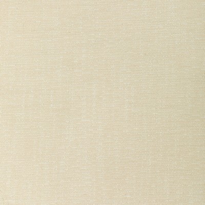 Kravet 37352 1101