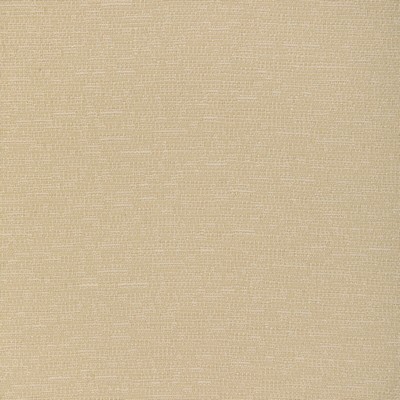 Kravet 37352 116