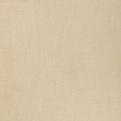 Kravet 37352 16