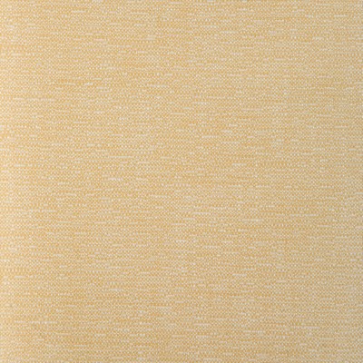 Kravet 37352 40