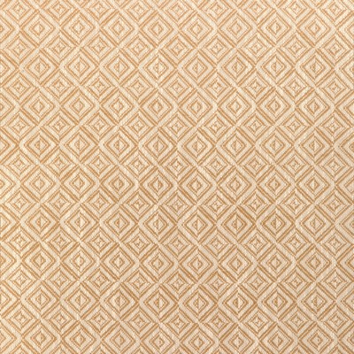 Kravet 37371 116