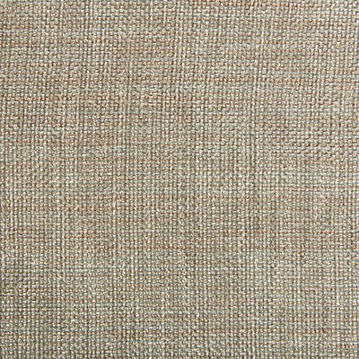 Kravet KRAVET CONTRACT 4458-1101