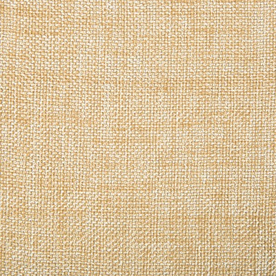 Kravet KRAVET CONTRACT 4458-1116