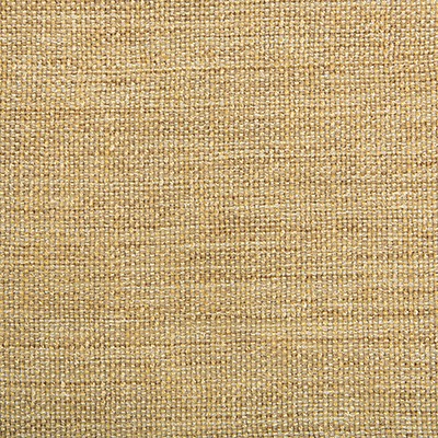 Kravet KRAVET CONTRACT 4458-414