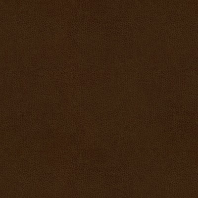 Kravet ABILENE COCOA