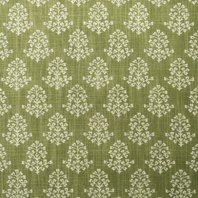 Kravet SPRIG LEAF