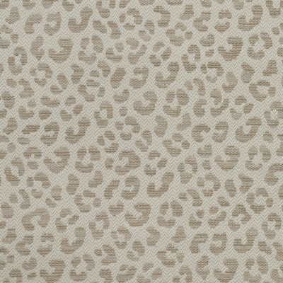 Kravet WILDCAT STONE