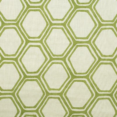 Kravet PERGOLA LEAF