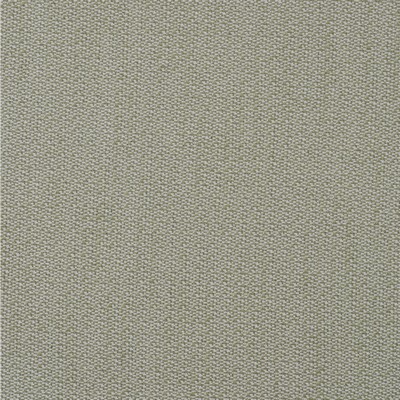 Kravet RAVELLO LEAF