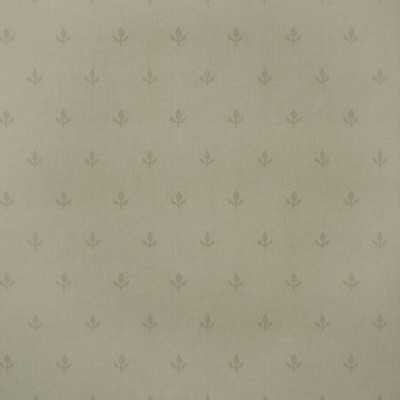 Kravet Wallcovering CROCUS STONE