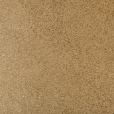 Kravet DUST 106