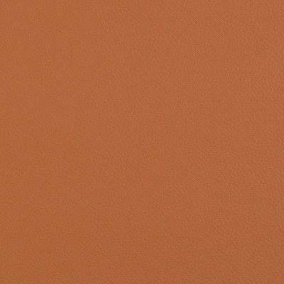 Kravet EXTREME UMBER