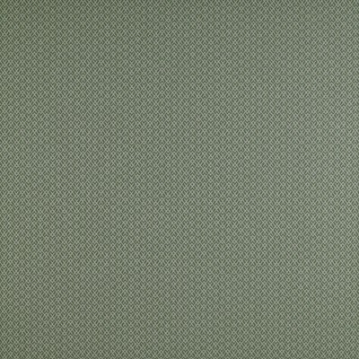 Kravet CHUECA VERDE