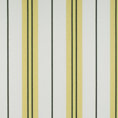 Kravet BURANO ONYX/AMARILLO