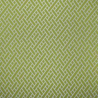 Kravet NAIROBI VERDE