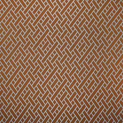 Kravet NAIROBI NARANJA