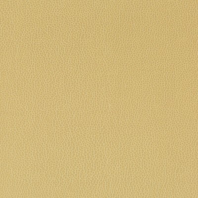 Kravet LENOX SESAME