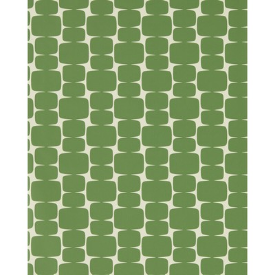 Kravet Wallcovering LITTLE LOHKO JUNIPER