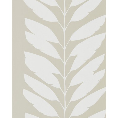 Kravet Wallcovering MALVA PARCHMENT