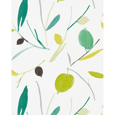 Kravet Wallcovering OXALIS WP KIWI/JUNIPER