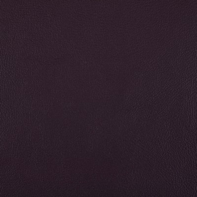 Kravet RAND PLUM