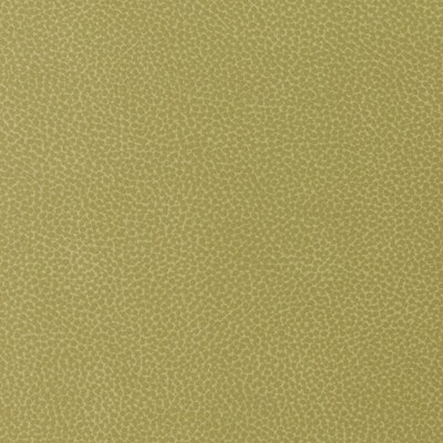 Kravet SWEETGUM 340