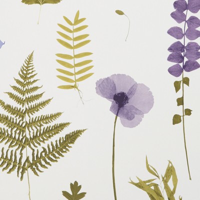 Clarke and Clarke Wallpaper HERBARIUM HEATHER