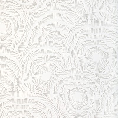 Kravet Wallcovering PANACHE WP SAND