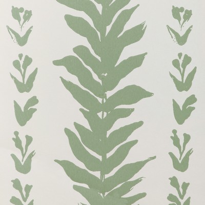 Kravet Wallcovering CLIMBING LEAVES WP SAGE