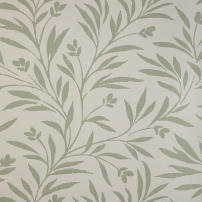 Kravet Wallcovering WISPY VINES WP LICHEN