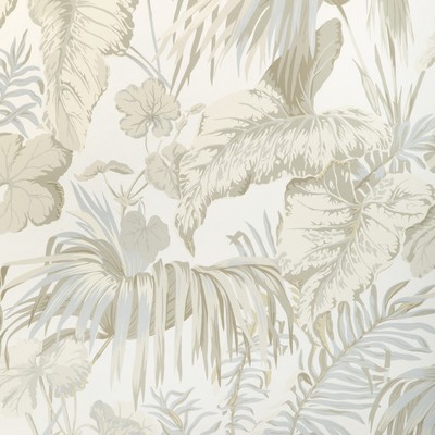 Kravet Wallcovering YASUNI WP SEPIA