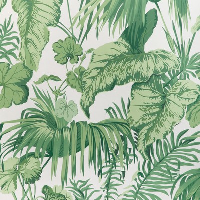 Kravet Wallcovering YASUNI WP VERDE