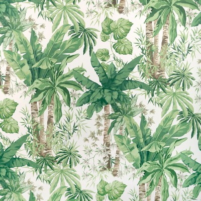 Kravet Wallcovering JUNGLEWOOD WP VERDE